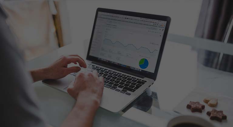 SEO experts